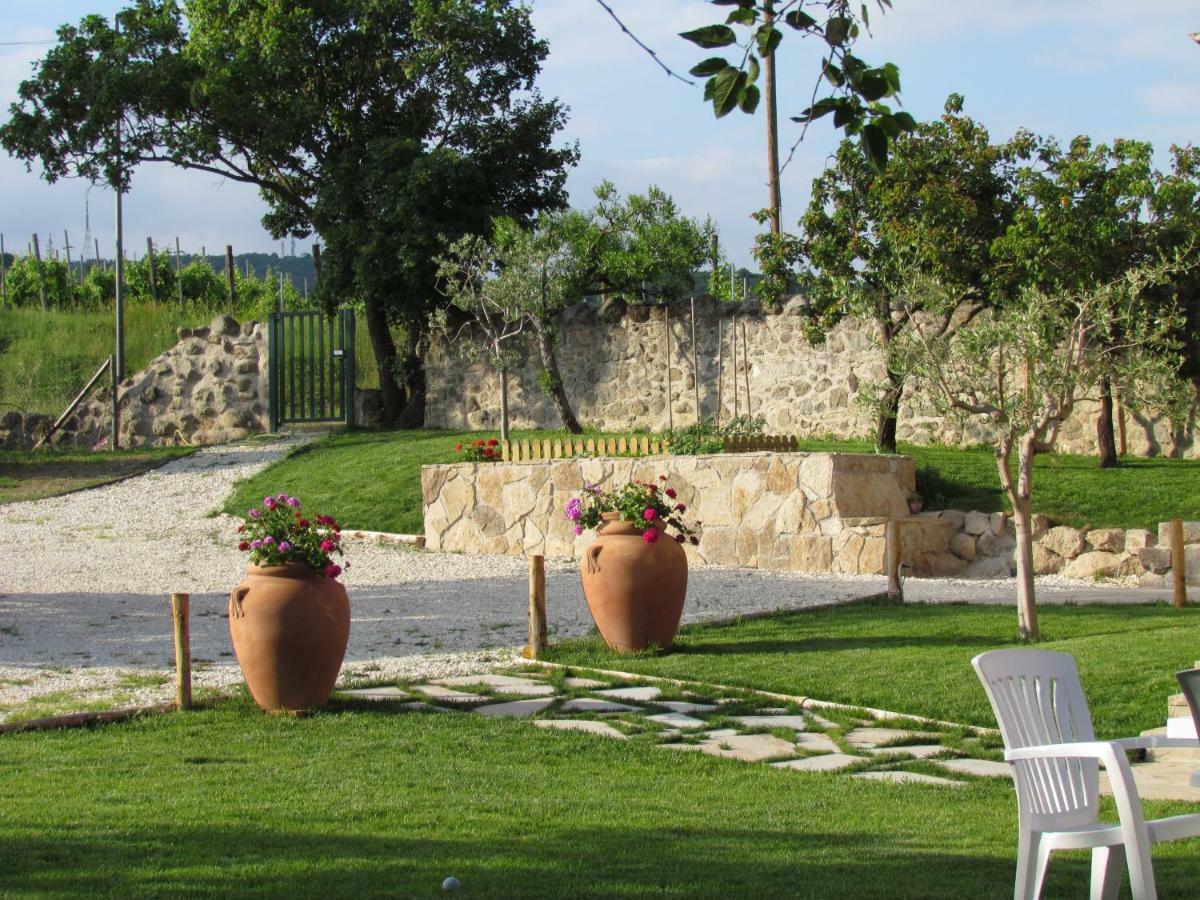 I Grilli B&B Baone Екстер'єр фото